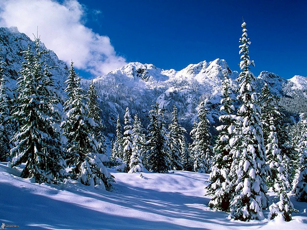 Winter