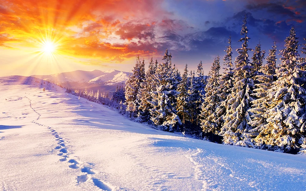 Schöner Winter