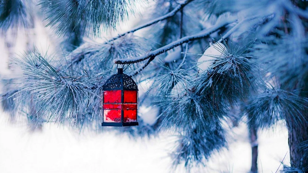 Wintersilvester