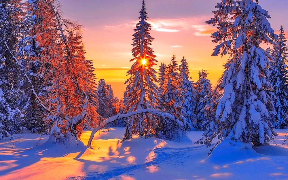 Winterschneeflocken