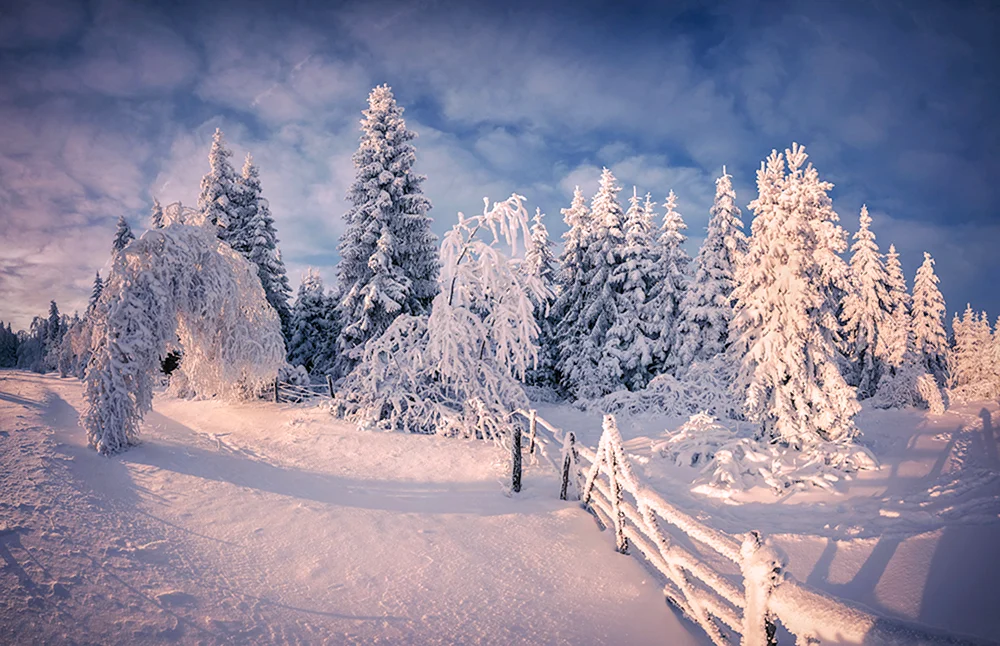 Winterschnee.