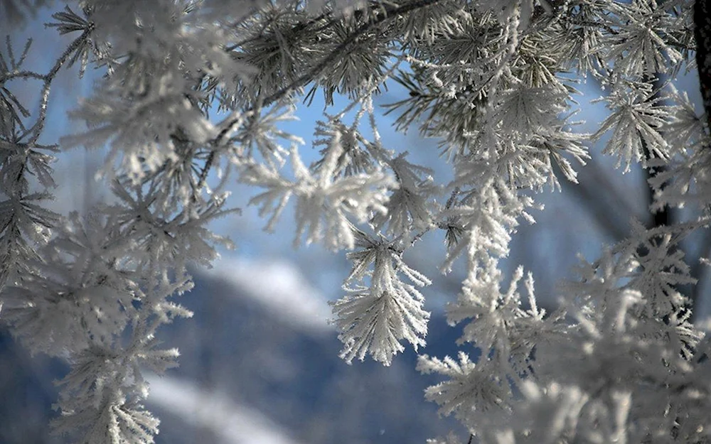 Fallender Schnee
