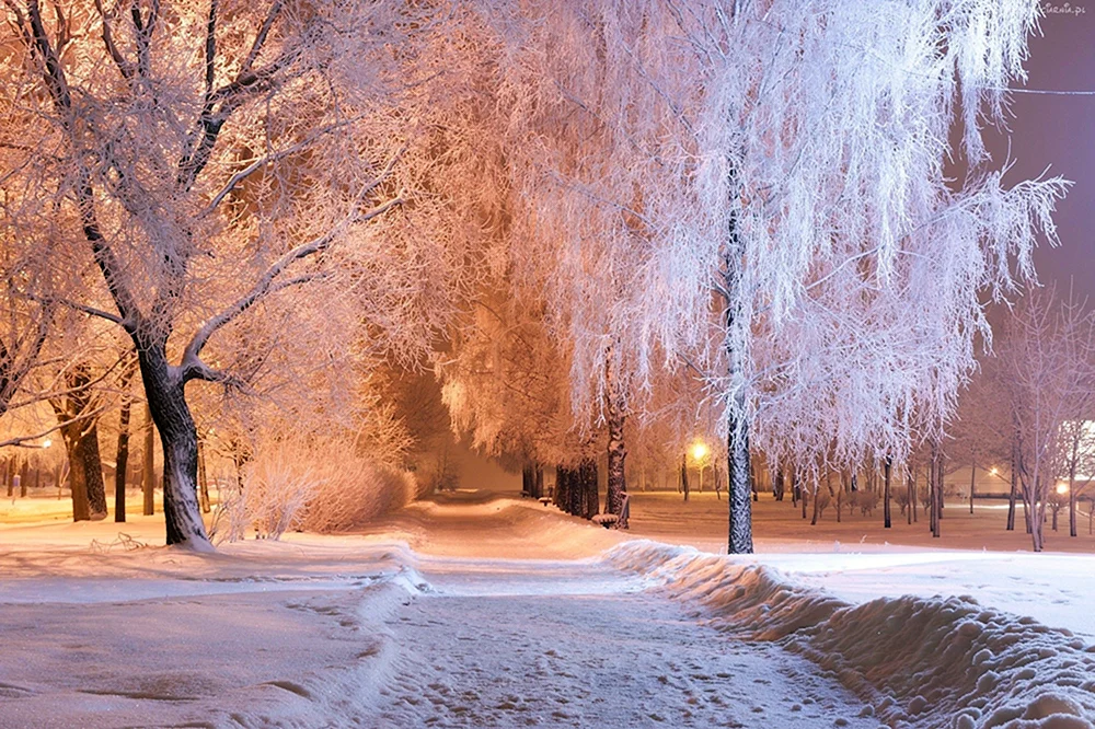 Winter schnee