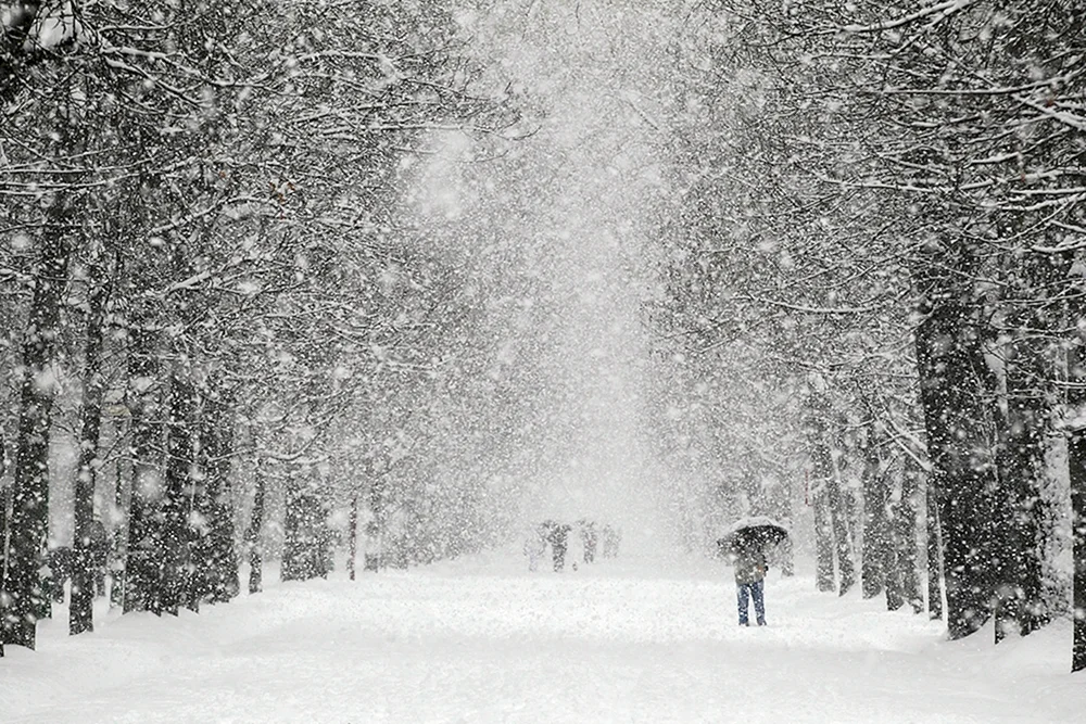 Winterlicher Schneefall