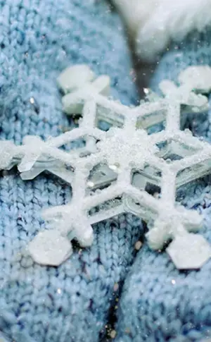 Winterschneeflocken