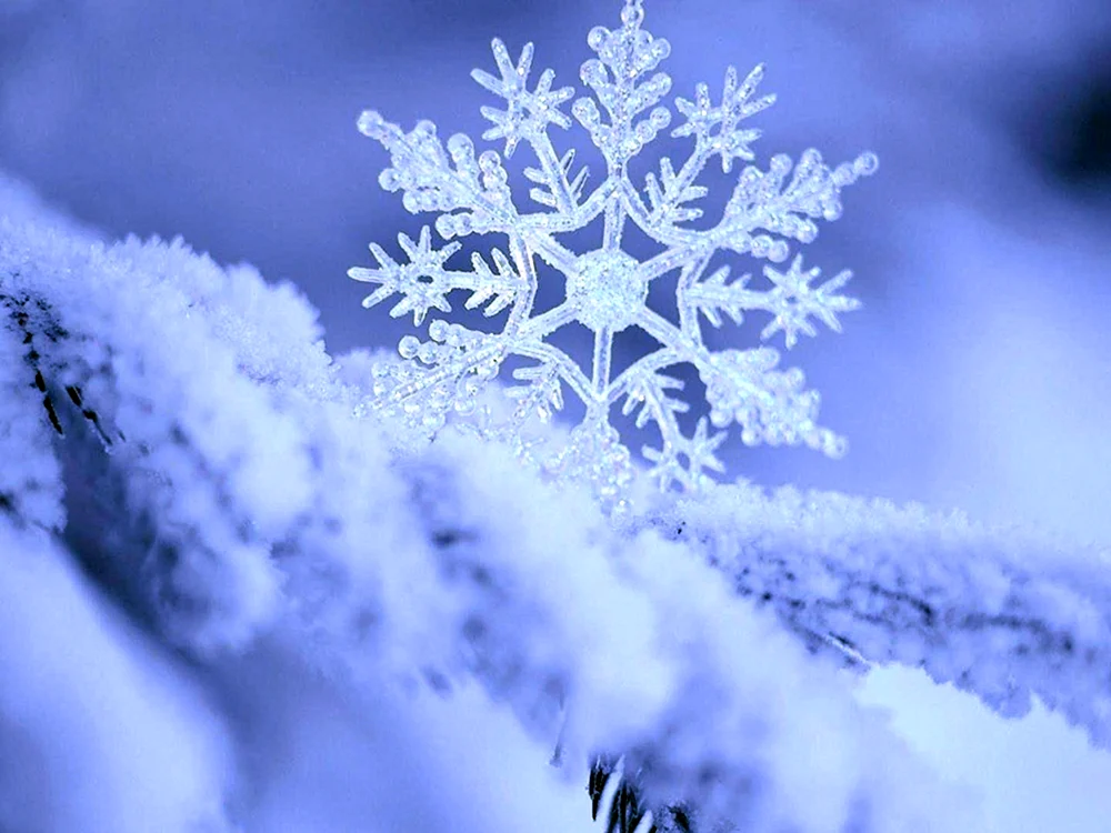 Schöner Winter