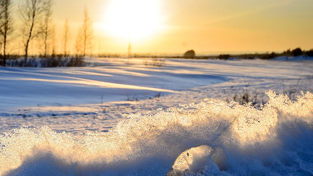 Natur Sonne