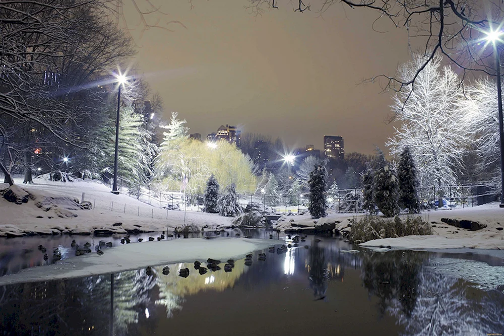 Winter in der Stadt