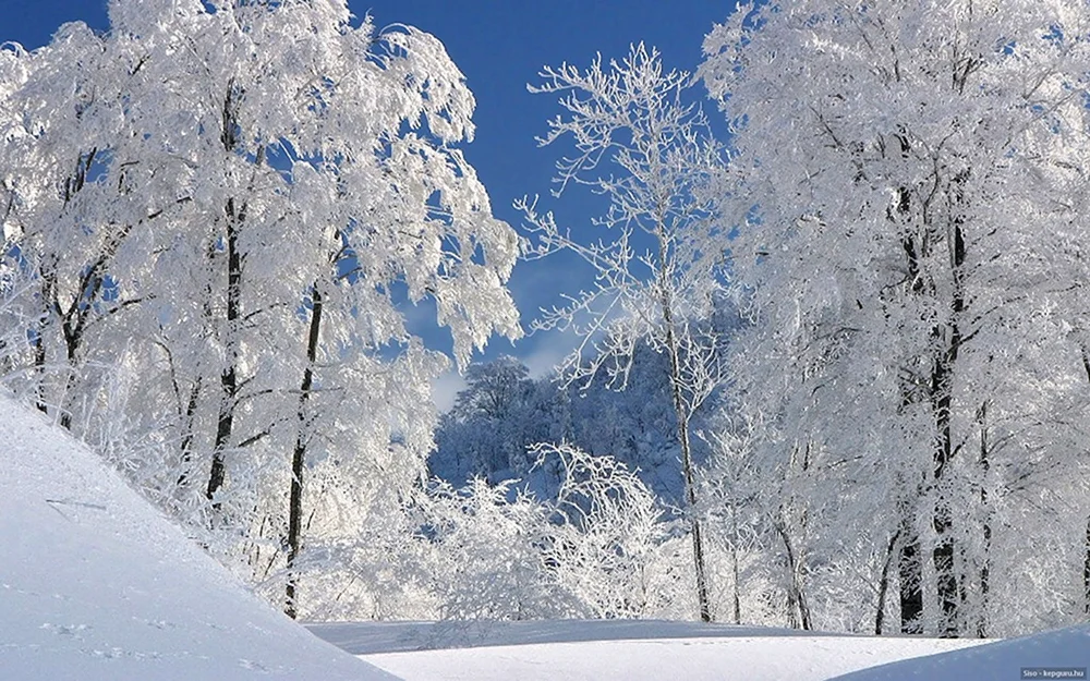 Winter Natur