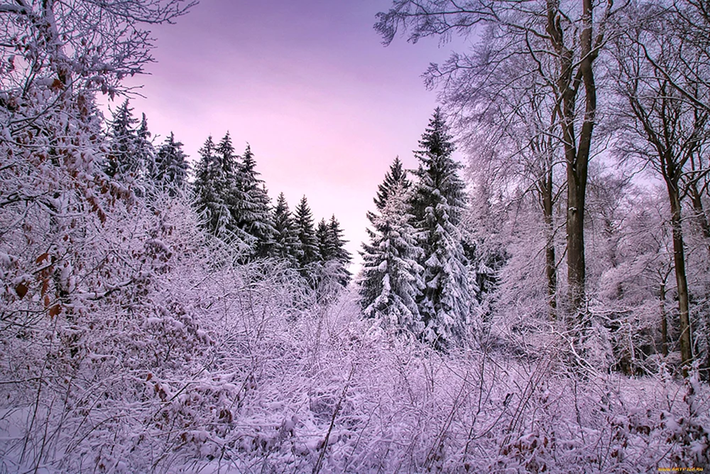 Yosemite National Park Kalifornien Winter