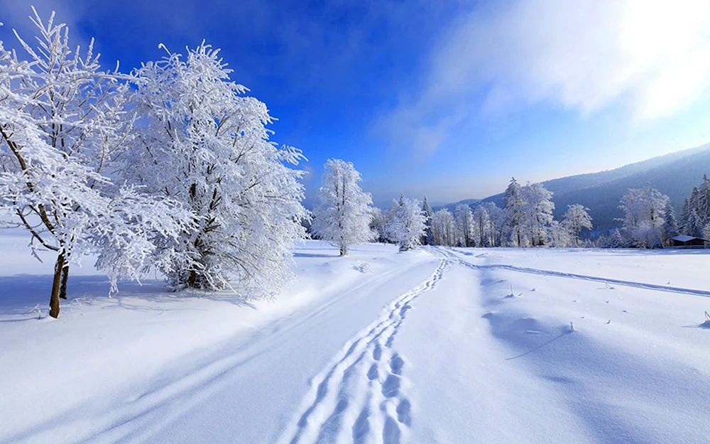Winterlandschaften
