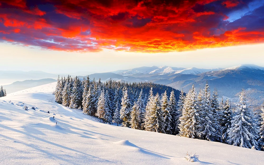 Winterberge