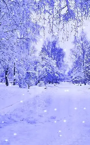 Wintertapete