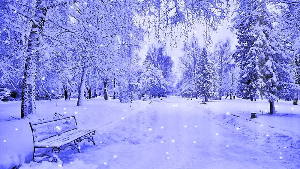 Wintertapete
