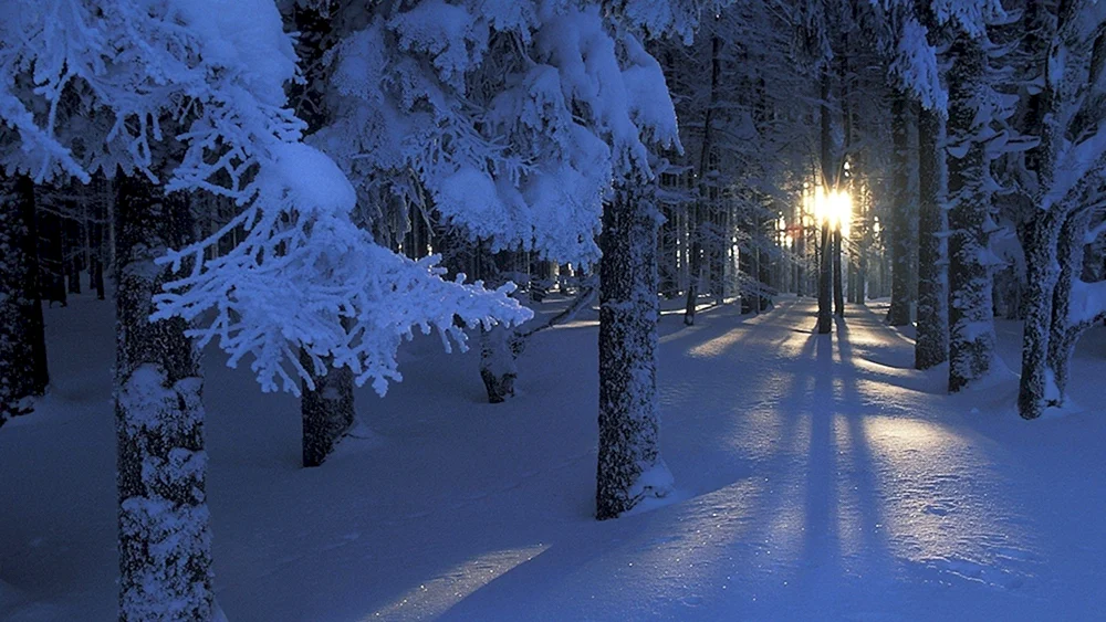 Winterlandschaften