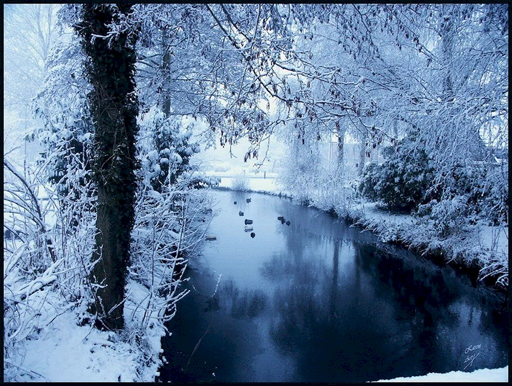 Winteravas