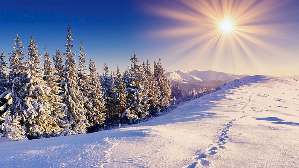 Winterlandschaft