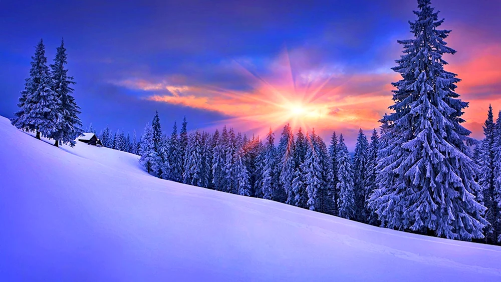 Winterlandschaft