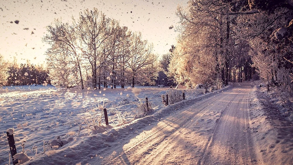 Winterlandschaft