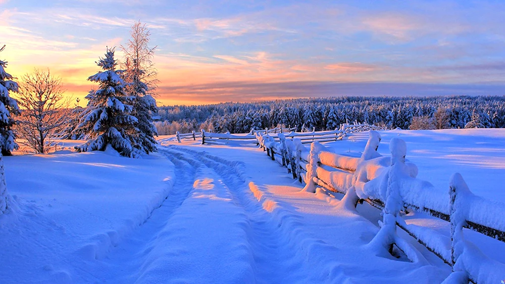 Winterwald