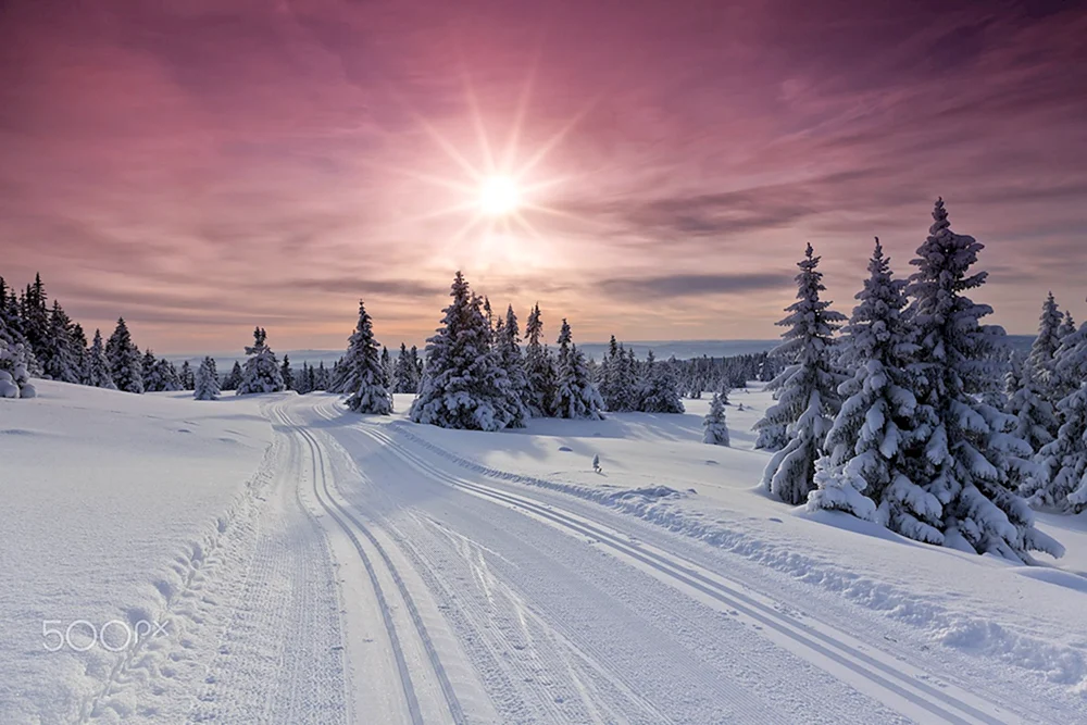 Winterlandschaften