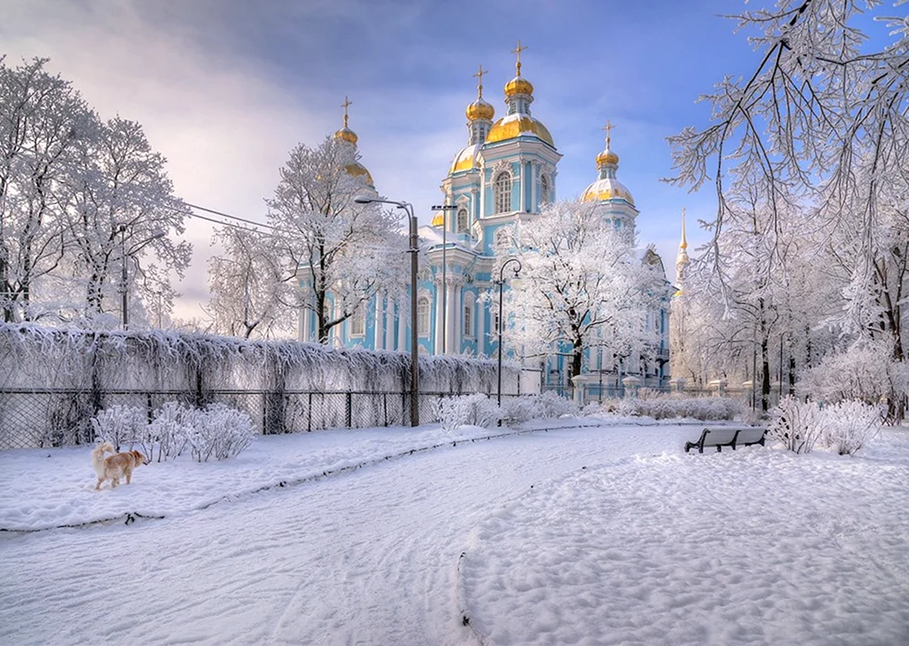 Winter St. Petersburg Nikolsky Kathedrale