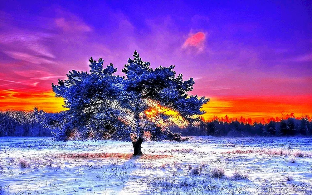 Winterdämmerung