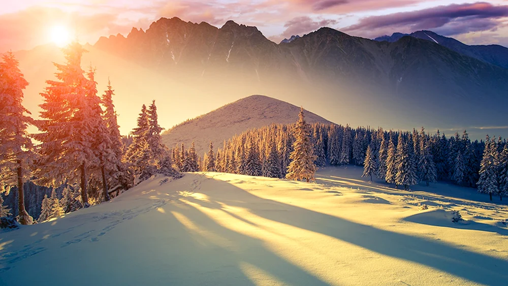 Wintersonnenuntergang