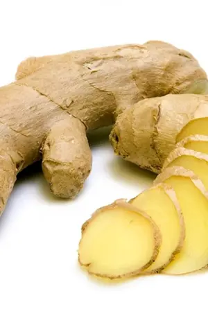 Zingiber officinale Ingwer