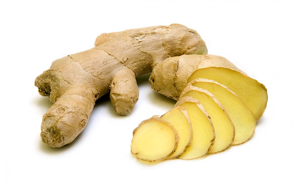 Zingiber officinale Ingwer