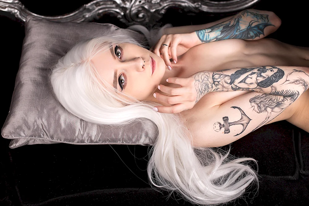 Lila Hündin Jinx