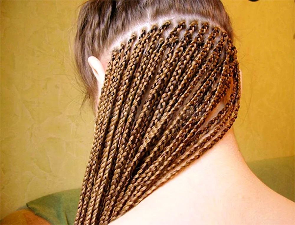 Zöpfe in Afrotail