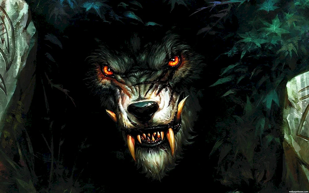 Wolf Mann Wolf Mann Wolf Mann Wolf Mann Wolf Mann Wolf Mann Werwolf Mann Wolf Mann Wolf Mann Werwolf Mann Wolf Mann Wolf Mann Wolf Mann Wolf Mann Wolf Mann Wolf Mann Wolf Mann Wolf Mann Wolf Mann Wolf Mann Wolf Mann Wolf Mann Wolf Mann Wolf Mann Wolf Mann Wolf Mann Wolf Mann Wolf Mann Wolf Mann.