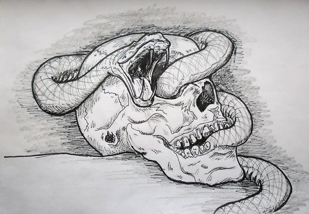 Schlange Bleistift