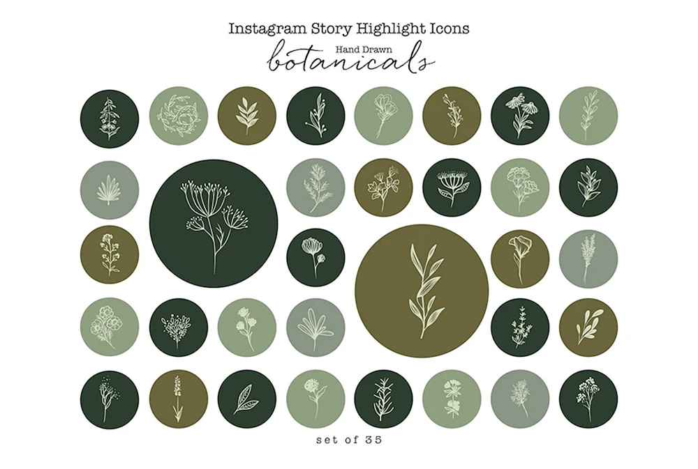 Instagram Icons für relevant grün