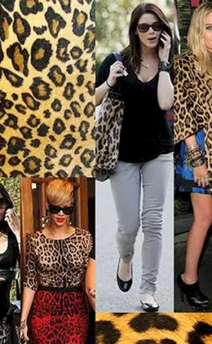 Promis im LeopardenkleidDolce Gabbana Leopardenmuster 2020Grünes LeopardenkleidMarks and Spencer Leopardenkleid