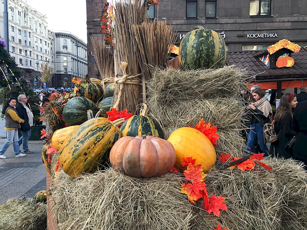 Goldener Herbst in Moskau 2023