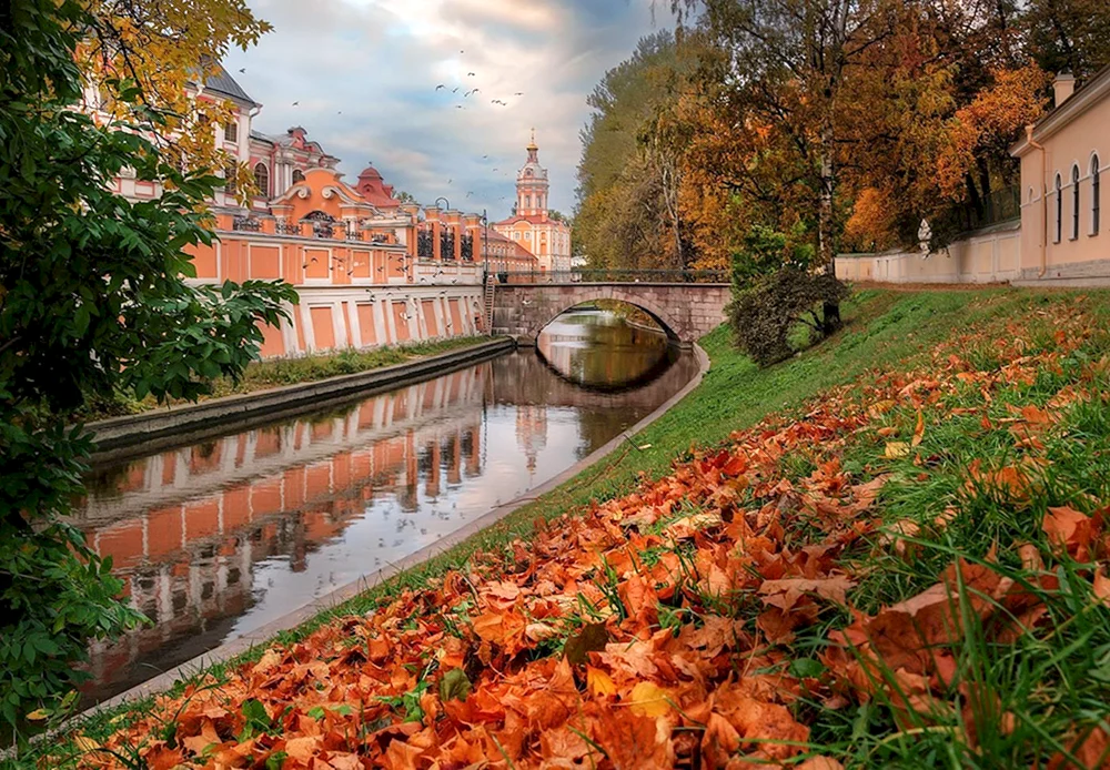 Goldener Herbst in St. Petersburg
