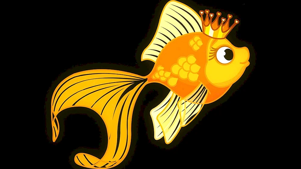 Weißer Goldfisch Voilettenschwanz
