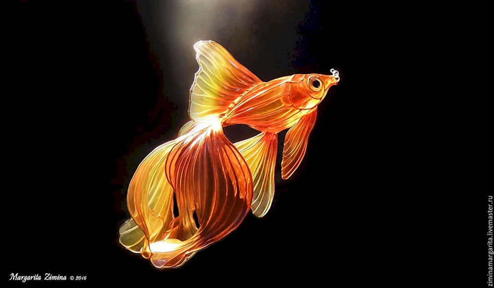 Goldfisch