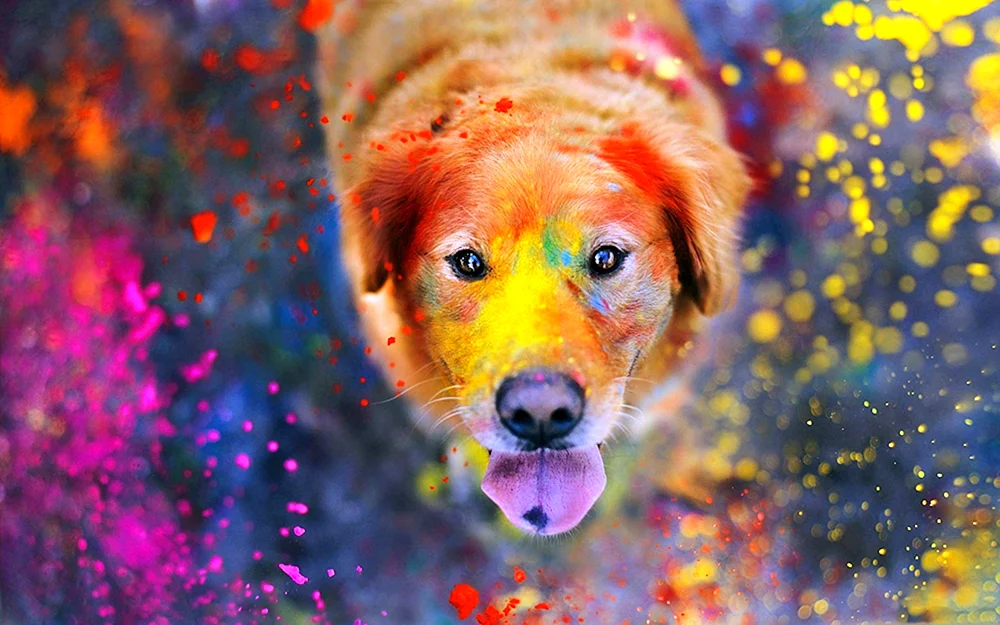 Fraktale Tiere