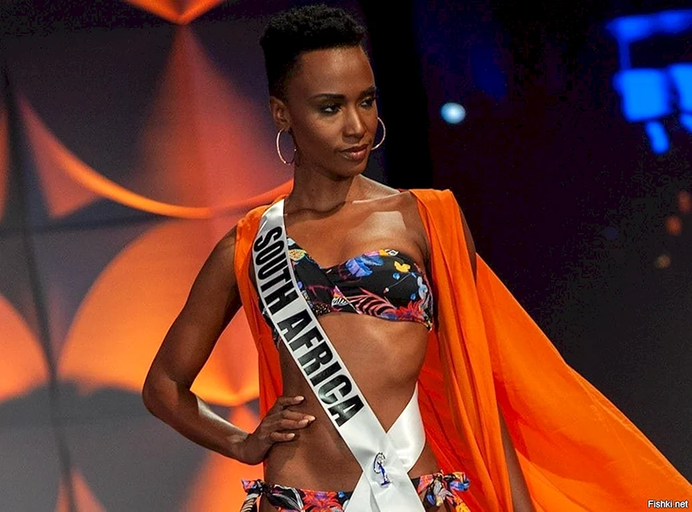 Zozibini Tunzi Miss Miss Beautiful African Women