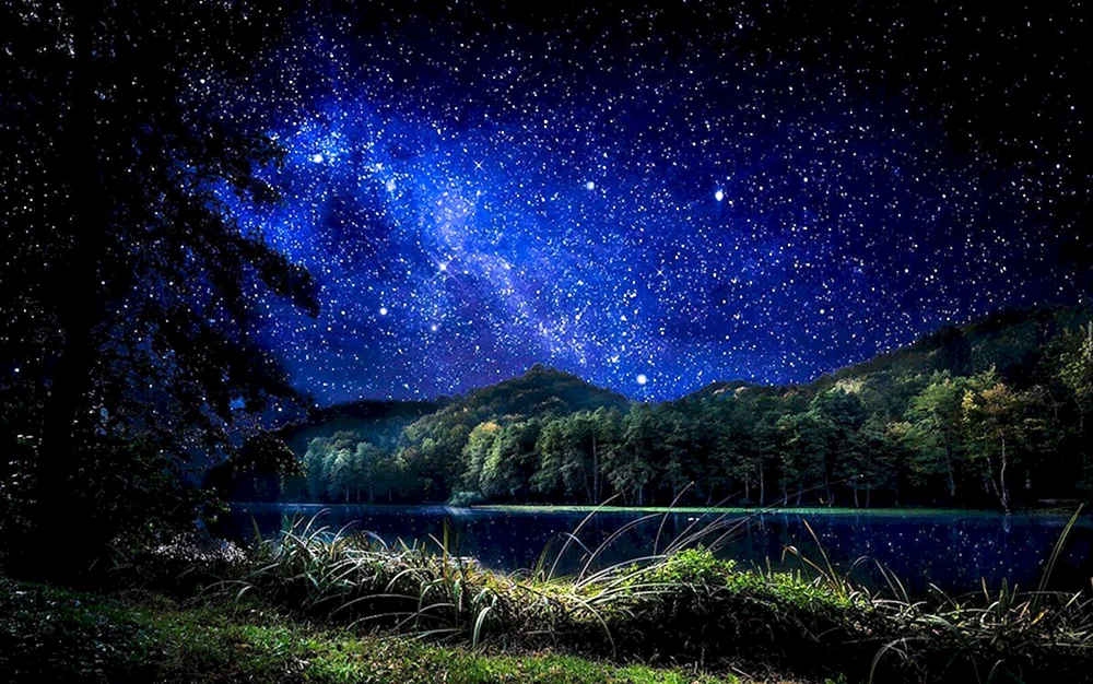 Natur bei Nacht